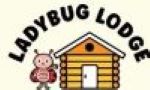 Ladybug lodge logo